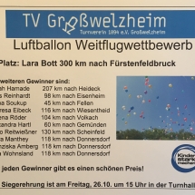 Luftballon 2018-4