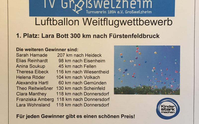 Luftballon 2018-4