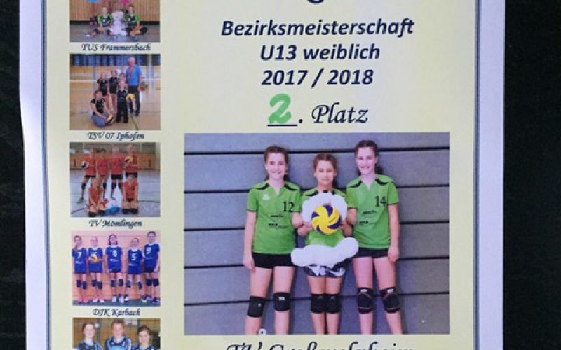 U13 BZM